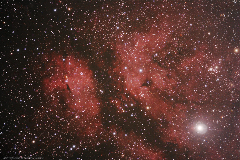IC1318b and IC1318c