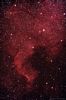 NGC7000 - North American Nebula
